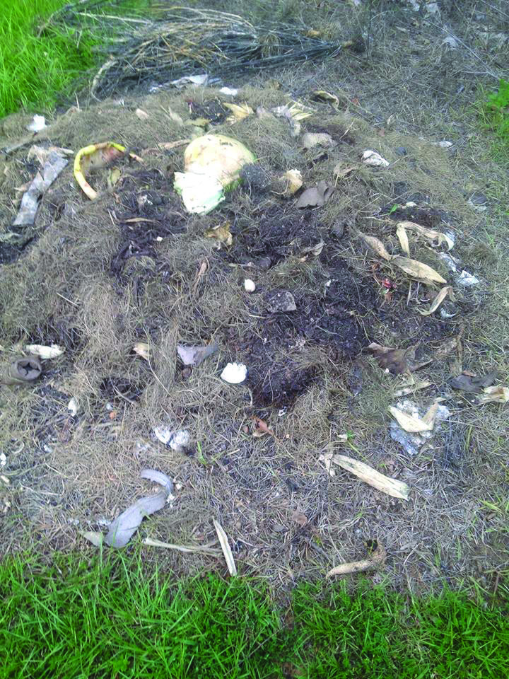 compost pilejpg